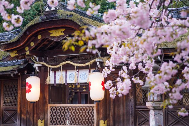 平野神社の桜花祭 ～花山天皇が桜をお手植えした日に開催～