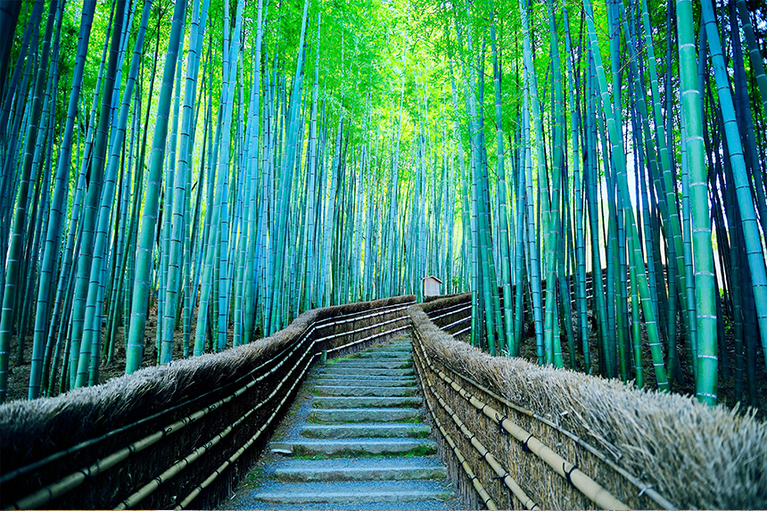石仏群に圧倒される化野念仏寺｜観光｜FunJapo｜京都観光