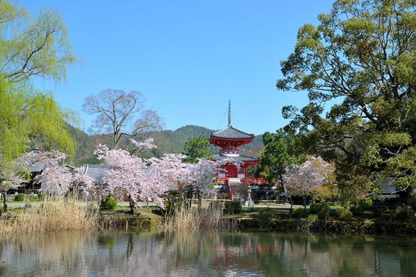 月見のための池がある大本山 大覚寺