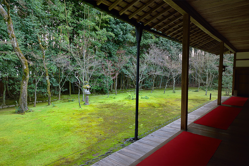 拥有许多有魅力的塔头的大德寺｜观光｜FunJapo｜京都观光，节日