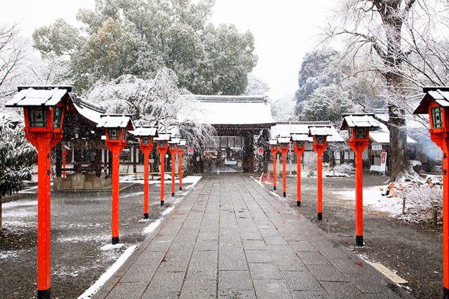 平野神社 ～平安時代からの桜の名所～