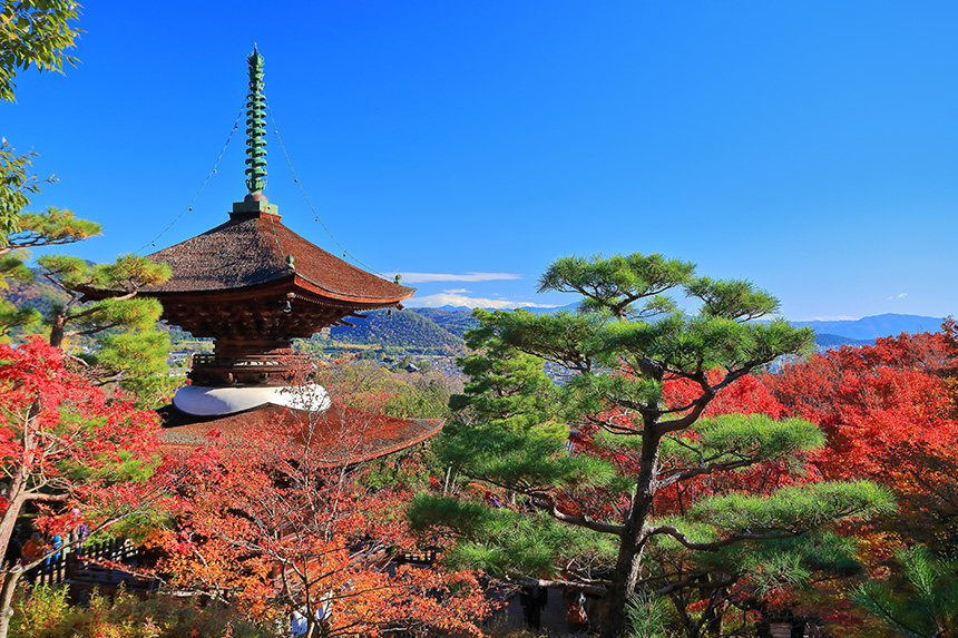 6/50 1974 常寂光寺 常寂光寺について – 常寂光寺 JOJAKKO-JI