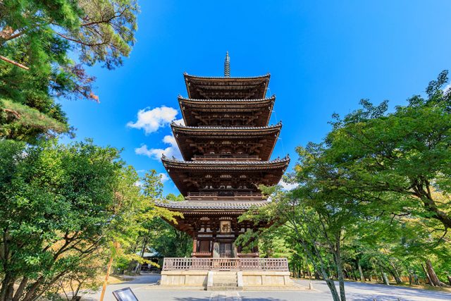 【2022年GW特集】ゴールデンウィークの旅行プランにも最適！京都でできるいろんな体験