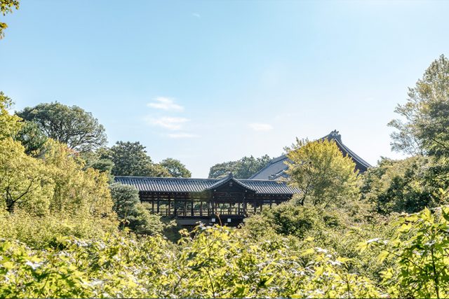 市松模様の庭園と通天橋のある東福寺